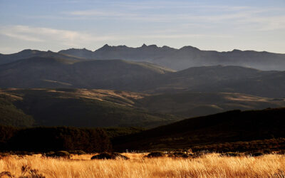 VIERNES 5 – LUNES 8 DE DICIEMBRE / Naturaleza y tradiciones en la cuna del río Tormes (Sierra de Gredos, Ávila)