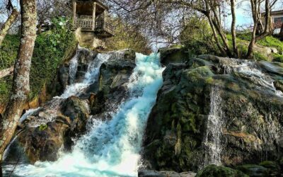 DOMINGO 5 – SÁBADO 11 DE OCTUBRE / Camino de Santiago Portugués – El camino de las Rías Baixas (Tuy-Santiago)