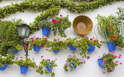 SÁBADO 14-DOMINGO 15 DE FEBRERO / De cal y aceite (Sierras Subbéticas, Córdoba)