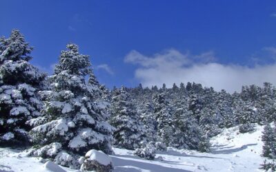 SÁBADO 28 DE MARZO – DOMINGO 1 DE MARZO / Paraiso de contrastes (Sierra de las Nieves, Málaga)